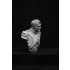 1/9 200mm V-bust Waterloo set - Napoleon, Wellington, Blucher (3 busts)