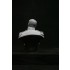 1/9 200mm V-bust Waterloo set - Napoleon, Wellington, Blucher (3 busts)