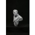 1/9 200mm V-bust Waterloo set - Napoleon, Wellington, Blucher (3 busts)