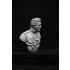 1/9 200mm V-bust Waterloo set - Napoleon, Wellington, Blucher (3 busts)