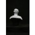 1/9 200mm V-bust Waterloo set - Napoleon, Wellington, Blucher (3 busts)