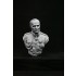 1/9 200mm V-bust Waterloo set - Napoleon, Wellington, Blucher (3 busts)