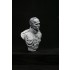 1/9 200mm V-bust Waterloo set - Napoleon, Wellington, Blucher (3 busts)