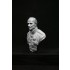 1/9 200mm V-bust Waterloo set - Napoleon, Wellington, Blucher (3 busts)