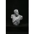 1/9 200mm V-bust Waterloo set - Napoleon, Wellington, Blucher (3 busts)