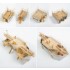 1/200 IJN Battleship Mikasa Value Pack Detail Set with Wooden Deck