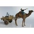 1/35 Camel with Cart
