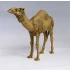 1/35 Camel