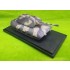 1/72 WWII German E-100 Heavy Tank w/Mouse Turret, Light & Shadow Colour 1946