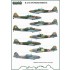 1/48 IL-2/10 in Polish service (decal)