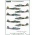 1/48 IL-2/10 in Polish service (decal)