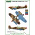 1/48 Stanislaw Skalski planes Decals