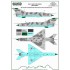 1/48 MiG-21 Around The World Decal - North Korea
