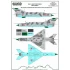 1/48 MiG-21 Around The World Decal - North Korea