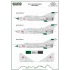 1/48 MiG-21 Around The World Decal - North Korea