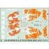 1/48 Spanish F/A-18 NATO Tiger Meet 2022 (decal)