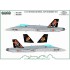 1/72 Spanish F/A-18 NATO Tiger Meet 2022 (decal)