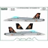 1/48 Spanish F/A-18 NATO Tiger Meet 2022 (decal)