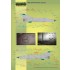 1/72 MiG-21PFM/M/MF/bis/UM Polish stencils (decal)
