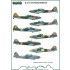 1/72 IL-2/10 in Polish service (decal)