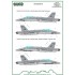 1/72 F/A-18 Spain Standard Markings and Stencils (decal)
