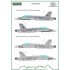 1/72 F/A-18 Spain Standard Markings and Stencils (decal)