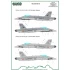 1/72 F/A-18 Spain Standard Markings and Stencils (decal)