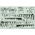 1/72 Su-22UM-3K 707 Tiger 2017 (decal)