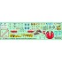 1/72 MiG-21 in Polish service Exclusive Edition part II (decal)
