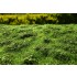 [Premium Line] Grass Mat - Low Bushes, Early Summer (Size: 18x28cm / 7"x11")