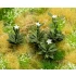 1/35, 1/32 Blooming Weeds Mini Flowers