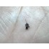 1/700 Kriegsmarine 20mm C/30 Guns (Storage Position) x18