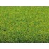 Grass Mat "Spring Meadow" (2000 x 1000 mm)