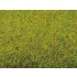 Grass Mat "Summer Meadow" (2000 x 1000 mm)