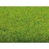 Grass Mat "Spring Meadow" (3000 x 1000 mm)