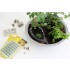 Grass Tufts XL "Field Plants" (green, 42pcs, 12mm)