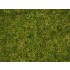 Master Grass Blend "Summer Meadow" for 1m2 area (2.5-6mm, 100g)