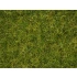 Master Grass Blend "Summer Meadow" for 1m2 area (2.5-6mm, 100g)