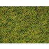 Master Grass Blend "Cow Pasture" for 1m2 area (2.5-6mm, 100g)