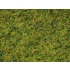 Master Grass Blend "Cow Pasture" for 1m2 area (2.5-6mm, 100g)
