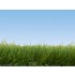 Wild Grass "Meadow" (6mm, 100g) For O,HO,TT,N Scale