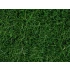 Wild Grass (dark green, 6mm, 100g) For O,HO,TT,N Scale