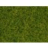 Wild Grass XL (light green, 12mm, 80g) For O,HO Scale