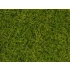 Wild Grass XL (light green, 12mm, 80g) For O,HO Scale