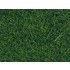 Wild Grass XL (dark green, 12mm, 80g) For O,HO Scale