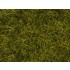 Wild Grass XL "Meadow" (12mm, 40g) For O,HO Scale