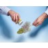 Leaves (dark green, 50g) For G,O,HO,TT,N,Z Scale
