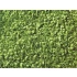 Leaf Foliage Set (14g, olive, light, medium, dark green)