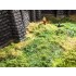 Wild Grass Foliage (light green, 200 x 230 mm, 0.05 qm)