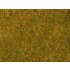 Meadow Foliage (yellow green, 200 x 230 mm, 0.05 qm)